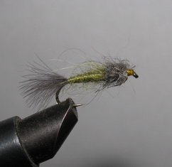 ���� CDC 016 nymph olive / grey  � 12